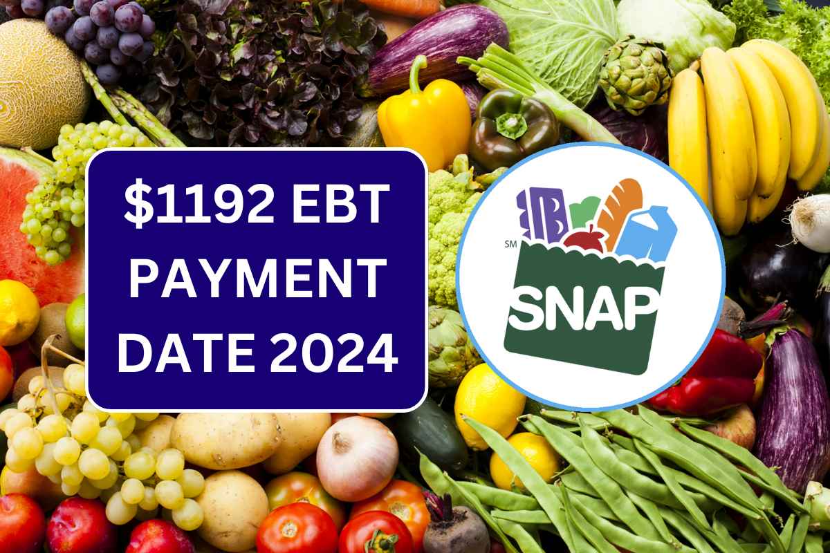 1192 EBT Payment Date 2024 Eligibility, Dates, and Approval Status