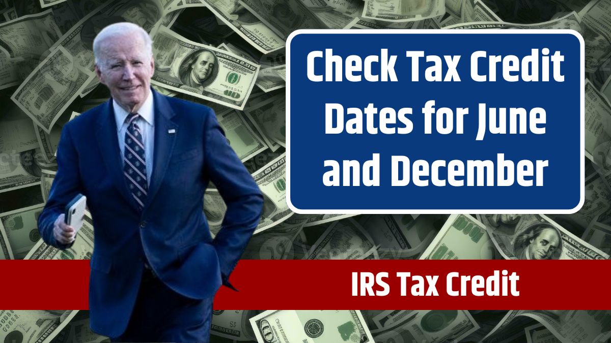 IRS Tax Credit Schedule 2024