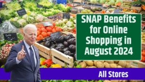 SNAP Benefits for Online Shopping in August 2024